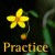 practice