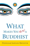 What Makes You Not a Buddhist